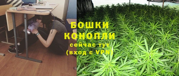 хмурый Зеленокумск