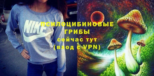 ПСИЛОЦИБИНОВЫЕ ГРИБЫ Карталы