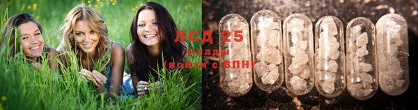 каннабис Арсеньев