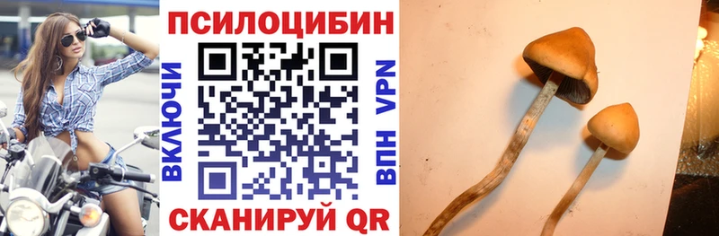 hydra зеркало  это какой сайт  Армянск  Галлюциногенные грибы мухоморы  купить закладку 